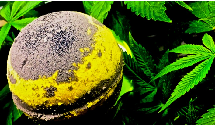As bombas de banho CBD ficam altas